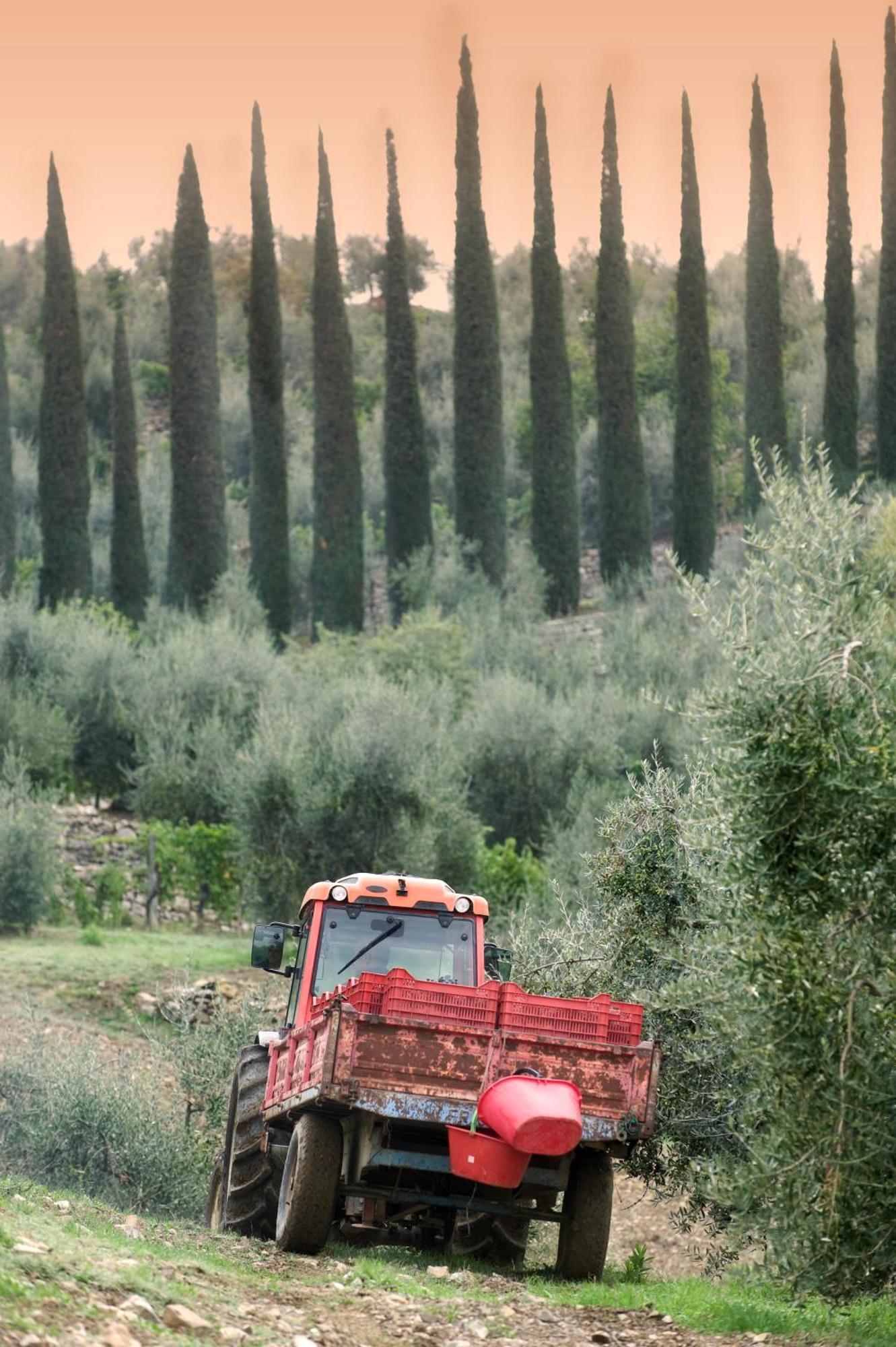 La Valletta Boutique Wine Estate Panzano in Chianti